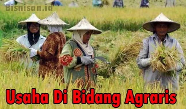 7 Contoh Usaha Di Bidang Agraris Wajib Anda Tahu | Uspace.id