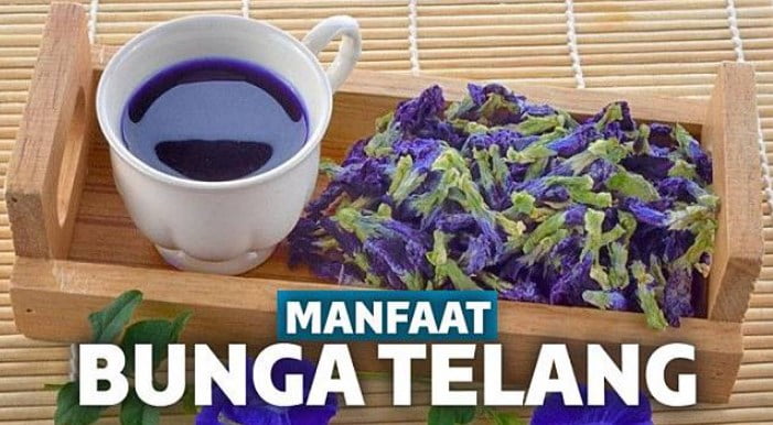 Manfaat Bunga Telang Untuk Kecantikan Wajah