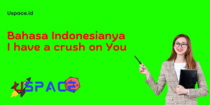 Bahasa Indonesianya I have a crush on You