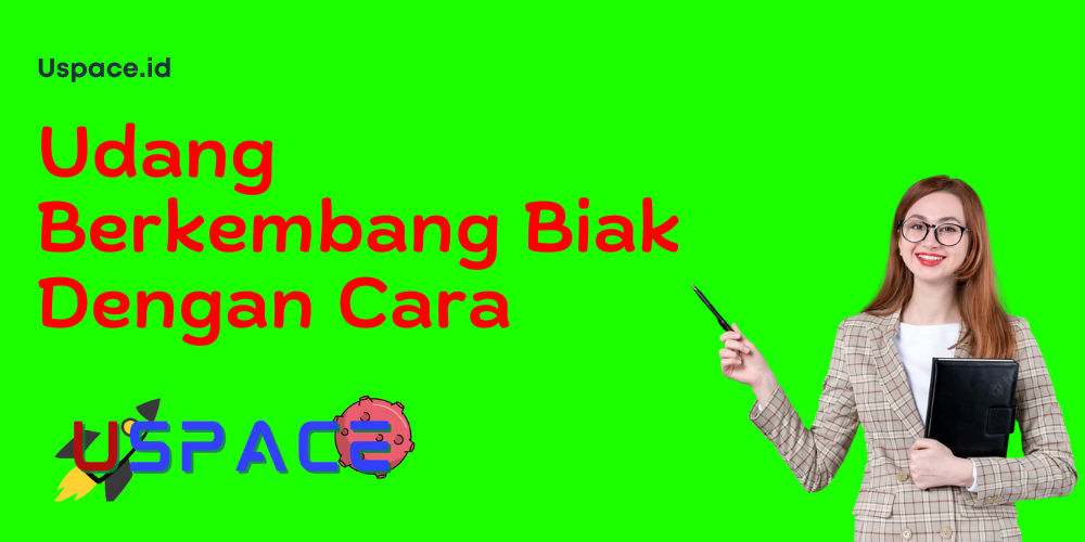 Udang Berkembang Biak Dengan Cara