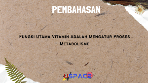 Fungsi Utama Vitamin Adalah Mengatur Proses Metabolisme