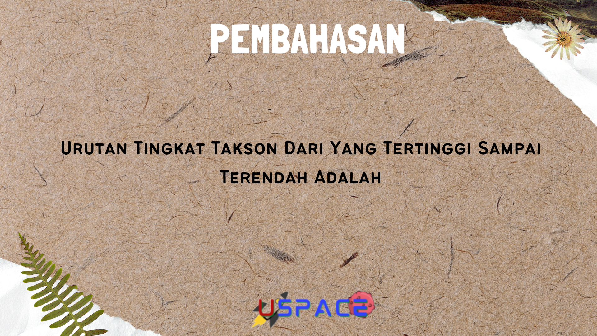 Urutan Tingkat Takson Dari Yang Tertinggi Sampai Terendah Adalah