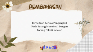 Perbedaan Berkas Pengangkut Pada Batang Monokotil Dengan Batang Dikotil Adalah