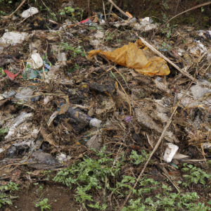 Sampah Plastik Dapat Menyebabkan Terjadinya Pencemaran Tanah Karena