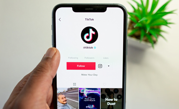 Download Video Tiktok Tanpa Aplikasi 