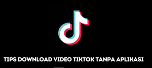 Download Video Tiktok Tanpa Aplikasi 