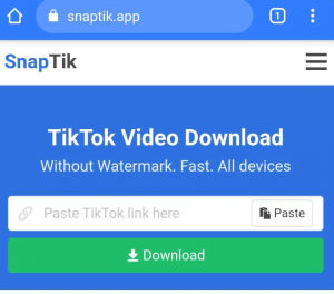 SnapTik.App