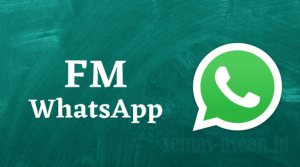 Download Aplikasi FMWhatsApp Terbaru