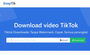 Download Video dengan situs Snaptik