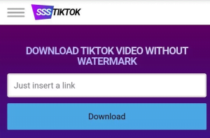 Download Video dengan situs Ssstik