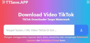 Download Video dengan situs TTsave