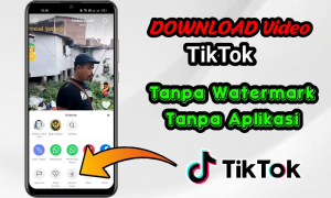 Download Tiktok Tanpa Watermark Tanpa Aplikasi