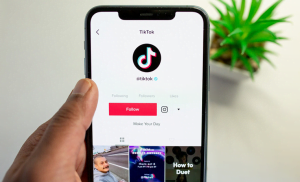 Download Tiktok Tanpa Watermark Tanpa Aplikasi