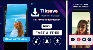 TikSave