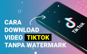 Aplikasi Mendownload Video Tiktok Tanpa Watermark