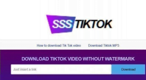 Download Lagu TikTok MP3 di SSSTIKTOK