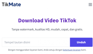 Download Lagu TikTok MP3 di TikMate