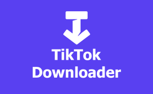 Download Lagu TikTok MP3 di TikTok Downloader