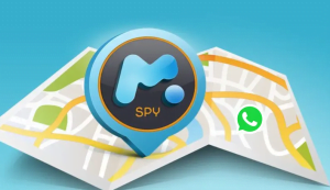 Cara Sadap WhatsApp Tanpa Verifikasi Dengan mSpy