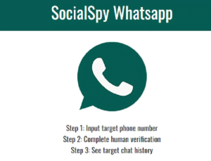 Cara Sadap WhatsApp Tanpa Aplikasi Dengan Social Spy WhatsApp