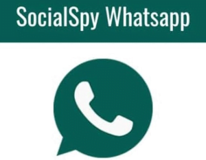 Social Spy WhatsApp