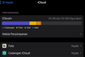 Cara hapus data aplikasi di iPhone melalui iCloud