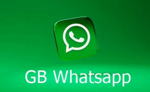 Cara Supaya WA Centang 1 Dengan GB WhatsApp