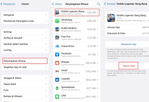 Cara Membersihkan Cache di iPhone Melalui Menu Aplikasi