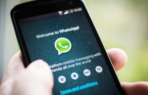 Cara Menyadap WA dengan Backup WhatsApp Chat