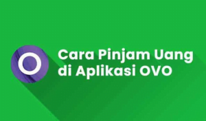 Cara Pinjam Uang di Aplikasi OVO