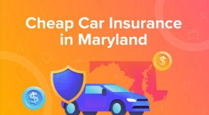 How to compare car insurance rates in Maryland