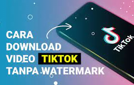 Download Video Tiktok Tanpa Watermark Tanpa Aplikasi