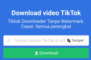 Download Video Tiktok Tanpa Watermark Tanpa Aplikasi