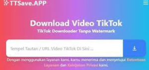 Download Video dengan situs TTsave