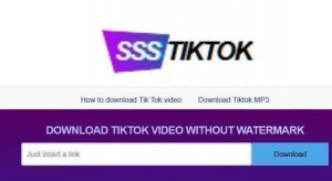 Save Tiktok No Watermark: SSSTikTok Tiktok Downloader atau Tikmate online