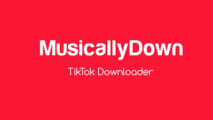 Download Video Tiktok Mp3: Musicaldown