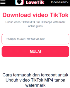 Video Tiktok Tanpa Watermark: Lovetik