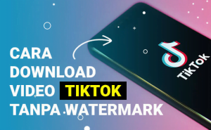 Cara Download Video Tiktok Tanpa Watermark