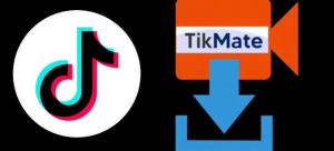 TikMate.App