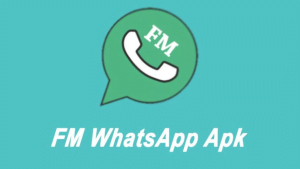 Download Aplikasi FM Whatsapp