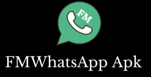 Apa itu FMWhatsApp (FM WA)?