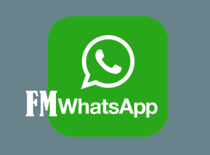 Link Download FMWhatsApp Terbaru