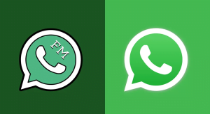 Perbedaan FMWhatsApp vs WhatsApp Original