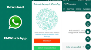 Cara Install FMWhatsApp di HP Android