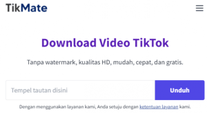 TikMate.online