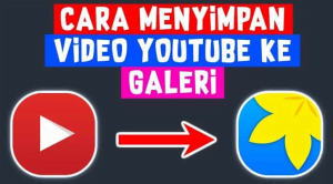 Download Video Youtube ke Galeri Dengan Aplikasi