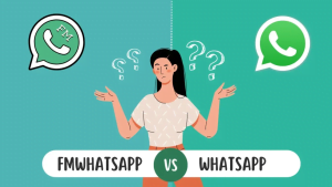 Perbandingan WhatsApp dan WhatsApp FM APK