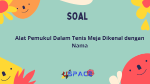 Alat Pemukul dalam Tenis Meja