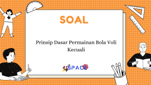 Prinsip Dasar Permainan Bola Voli Kecuali