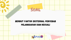 Faktor Eksternal Penyebab Pelanggaran HAM